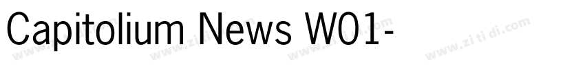 Capitolium News W01字体转换